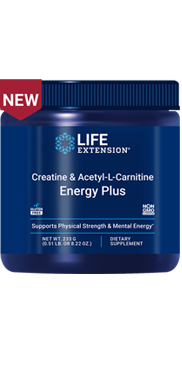 Creatina e Acetil-L-Carnitina Energy Plus, 233 gramas